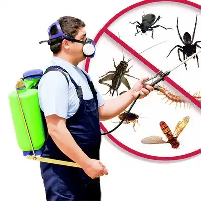 pest control Tilghman Island